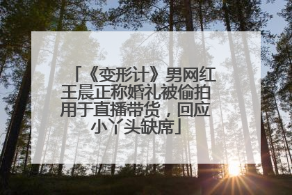 《变形计》男网红王晨正称婚礼被偷拍用于直播带货，回应小丫头缺席