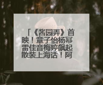 《酱园弄》首映！章子怡杨幂雷佳音梅婷飙起散装上海话！阿庆爷叔气氛组！独独没见他……