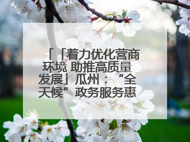 「着力优化营商环境 助推高质量发展」瓜州：“全天候”政务服务惠企便民