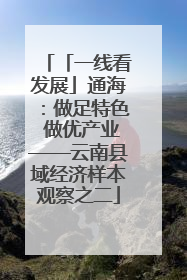 「一线看发展」通海：做足特色 做优产业——云南县域经济样本观察之二