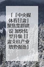 「中央媒体看甘肃」聚焦集群建设 加快转型升级 甘肃支柱产业增势强劲