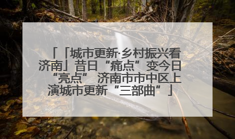 「城市更新·乡村振兴看济南」昔日“痛点”变今日“亮点” 济南市市中区上演城市更新“三部曲”
