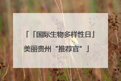 「国际生物多样性日」美丽贵州“推荐官”