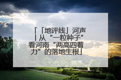 「地评线」河声丨从“一粒种子”看河南“两高四着力”的落地生根