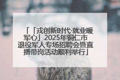 「戎创新时代·就业暖军心」2025年铜仁市退役军人专场招聘会暨直播带岗活动顺利举行