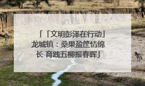 「文明彭泽在行动」龙城镇：桑果盈筐情绵长 育践五柳报春晖