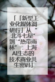 「新型工业化媒体调研行」从“北斗七星”到“热带雨林”：上海AI生态的技术商业共生密码