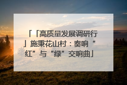 「高质量发展调研行」施秉花山村：奏响“红”与“绿”交响曲