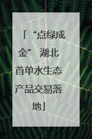 “点绿成金” 湖北首单水生态产品交易落地