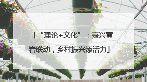 “理论+文化”：嘉兴黄岩联动，乡村振兴添活力