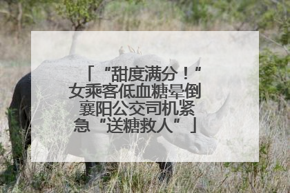 “甜度满分！”女乘客低血糖晕倒 襄阳公交司机紧急“送糖救人”