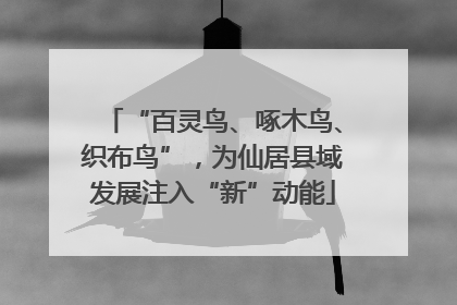 “百灵鸟、啄木鸟、织布鸟”，为仙居县域发展注入“新”动能