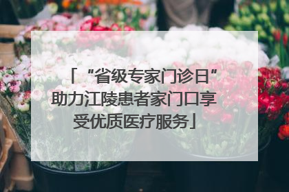 “省级专家门诊日”助力江陵患者家门口享受优质医疗服务
