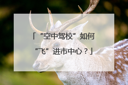 “空中驾校”如何“飞”进市中心？