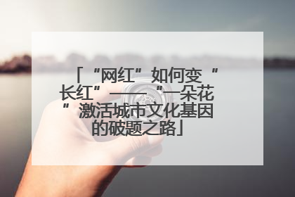 “网红”如何变“长红”——“一朵花”激活城市文化基因的破题之路