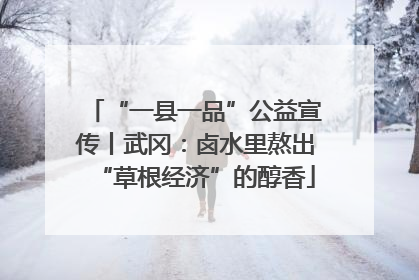 “一县一品”公益宣传丨武冈：卤水里熬出“草根经济”的醇香