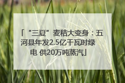 “三夏”麦秸大变身：五河县年发2.5亿千瓦时绿电 供20万吨蒸汽