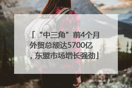 “中三角”前4个月外贸总额达5700亿，东盟市场增长强劲