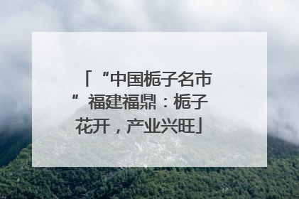 “中国栀子名市”福建福鼎：栀子花开，产业兴旺