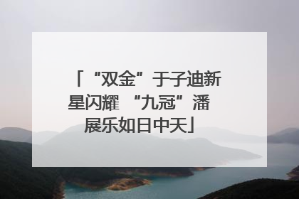 “双金”于子迪新星闪耀 “九冠”潘展乐如日中天