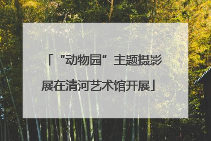 “动物园”主题摄影展在清河艺术馆开展