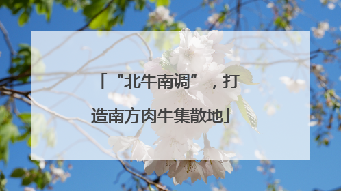 “北牛南调”，打造南方肉牛集散地
