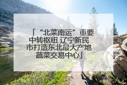 “北菜南运”重要中转枢纽 辽宁新民市打造东北最大产地蔬菜交易中心