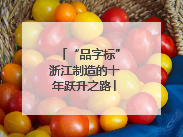 “品字标”浙江制造的十年跃升之路