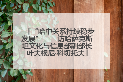 “哈中关系持续稳步发展”——访哈萨克斯坦文化与信息部副部长叶夫根尼·科切托夫