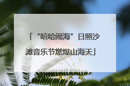 “嘻哈闹海”日照沙滩音乐节燃爆山海天