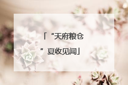 “天府粮仓”夏收见闻