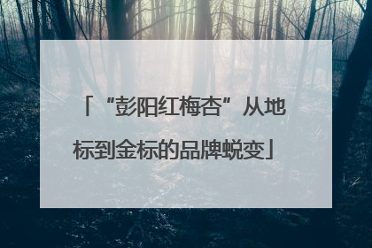 “彭阳红梅杏”从地标到金标的品牌蜕变