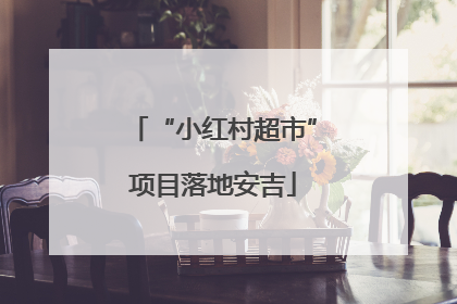 “小红村超市”项目落地安吉