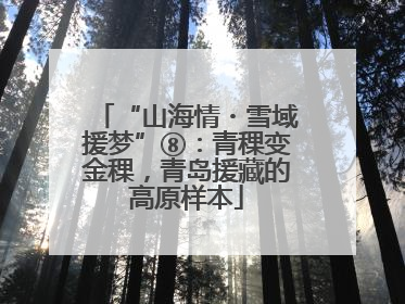 “山海情・雪域援梦”⑧：青稞变金稞，青岛援藏的高原样本