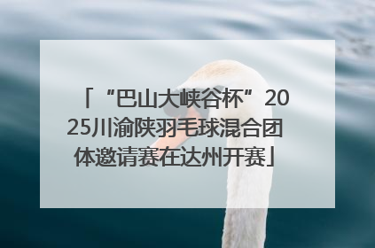 “巴山大峡谷杯”2025川渝陕羽毛球混合团体邀请赛在达州开赛
