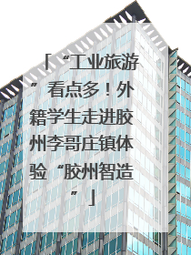 “工业旅游”看点多！外籍学生走进胶州李哥庄镇体验“胶州智造”