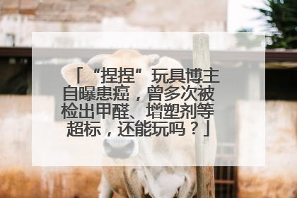 “捏捏”玩具博主自曝患癌，曾多次被检出甲醛、增塑剂等超标，还能玩吗？