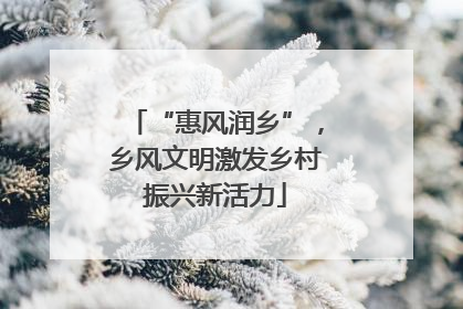 “惠风润乡”，乡风文明激发乡村振兴新活力