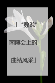 “数说”南博会上的曲靖风采