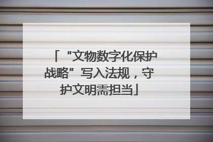 “文物数字化保护战略”写入法规，守护文明需担当