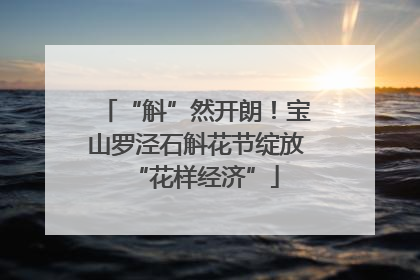 “斛”然开朗！宝山罗泾石斛花节绽放“花样经济”