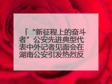 “新征程上的奋斗者”公安先进典型代表中外记者见面会在湖南公安引发热烈反响(二)