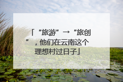 “旅游”→“旅创”，他们在云南这个理想村过日子