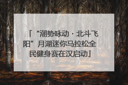 “潮势咏动・北斗飞阳”月湖迷你马拉松全民健身赛在汉启动