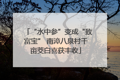 “水中参”变成“致富宝” 南漳八泉村千亩茭白喜获丰收