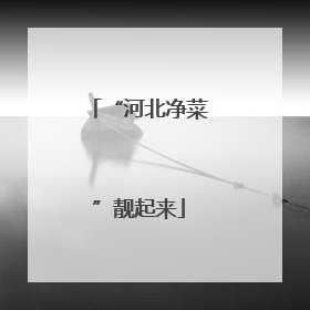 “河北净菜”靓起来