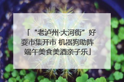 “老泸州·大河街”好耍市集开市 机器狗助阵端午美食美酒亲子乐