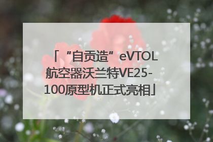 “自贡造”eVTOL航空器沃兰特VE25-100原型机正式亮相