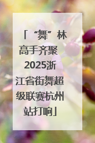 “舞”林高手齐聚 2025浙江省街舞超级联赛杭州站打响