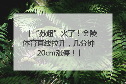 “苏超”火了！金陵体育直线拉升，几分钟20cm涨停！